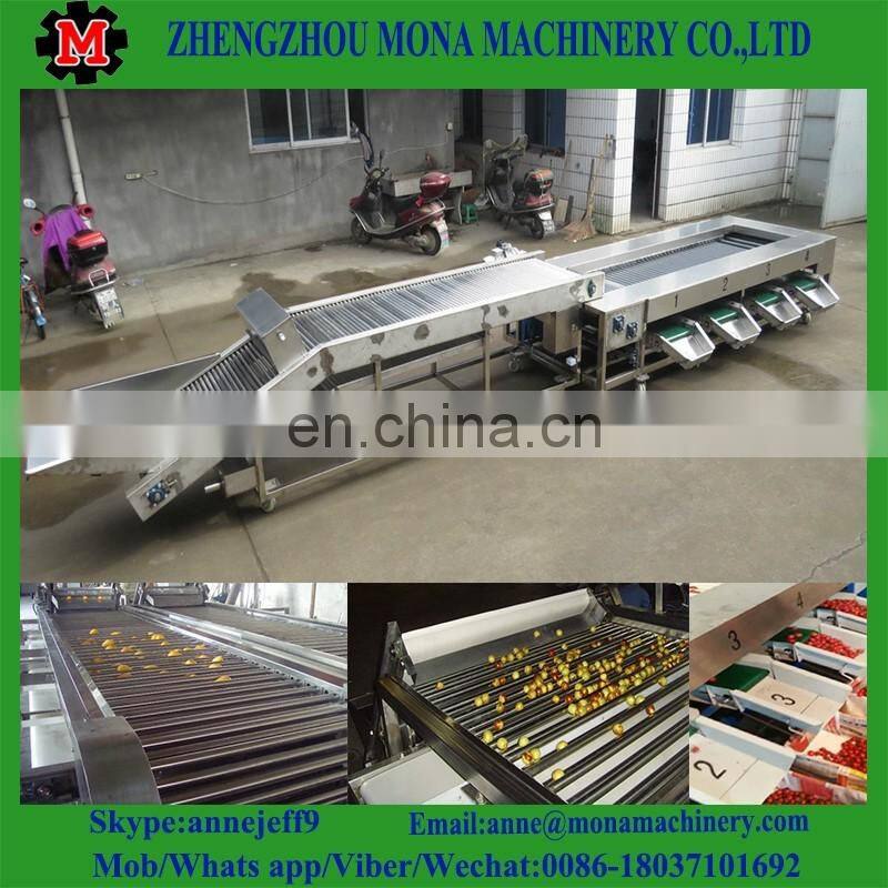 Fruit grading calibration size machine