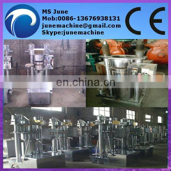 hydraulic pumpkin seed oil press machine 008613676938131