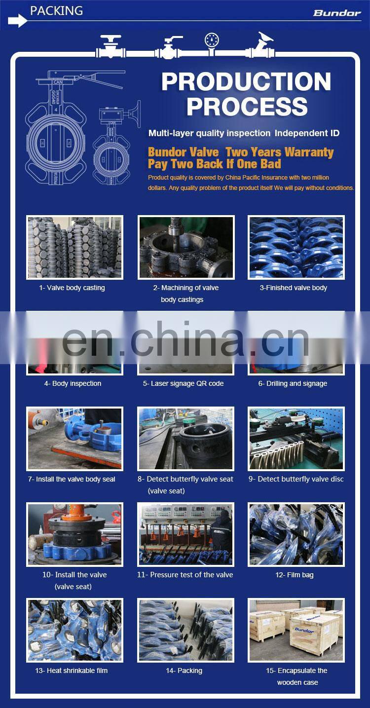 Bundor 2021awwa pn 16 Electric triple eccentric butterfly valve