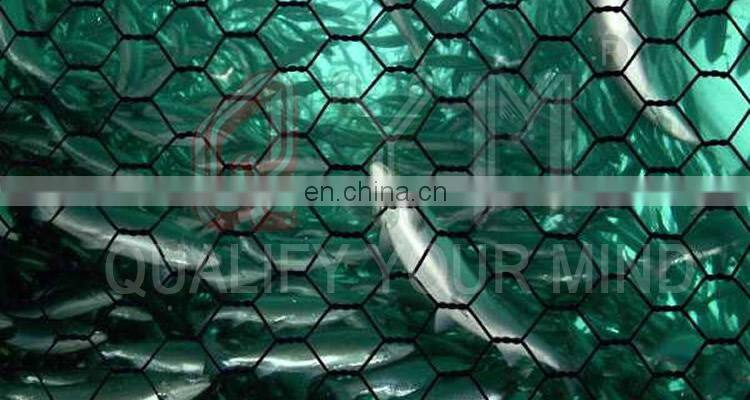 PET Agriculture Fish Farm Cage Netting Gabion Hexagonal Wire Mesh