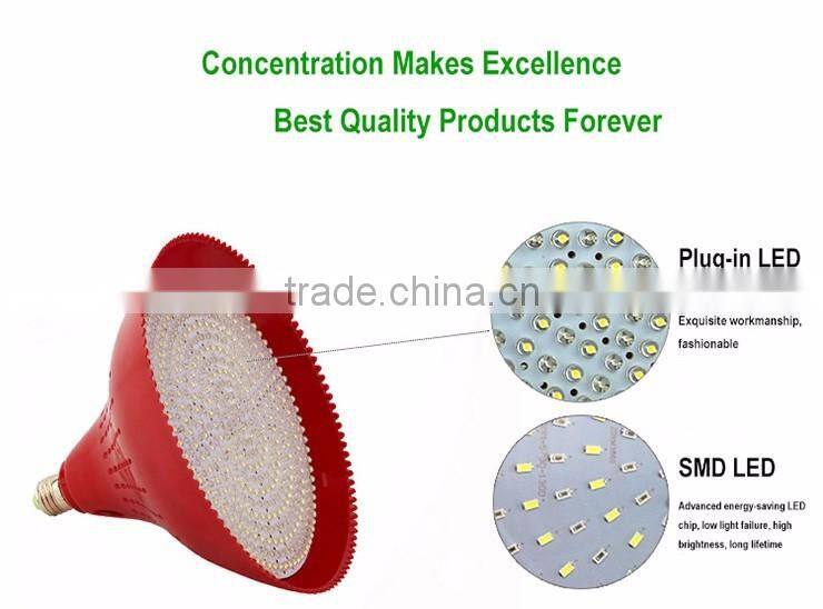 Hot Selling Energy Saving Eco-friendly Manufacturer in China 24W Modern LED Pendant Fresh Light