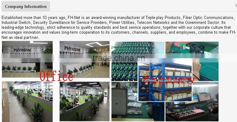 2 ethernet port with wifi GPON ONT/HGU