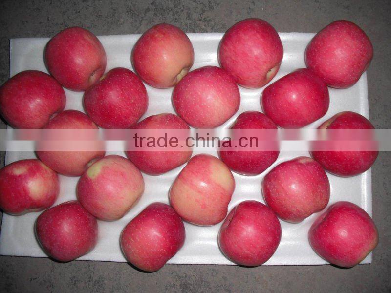 Fuji apple fruit