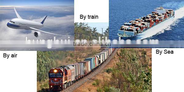 Visitor Management System with Camera and License Scanner for Securing and Authorizing Access