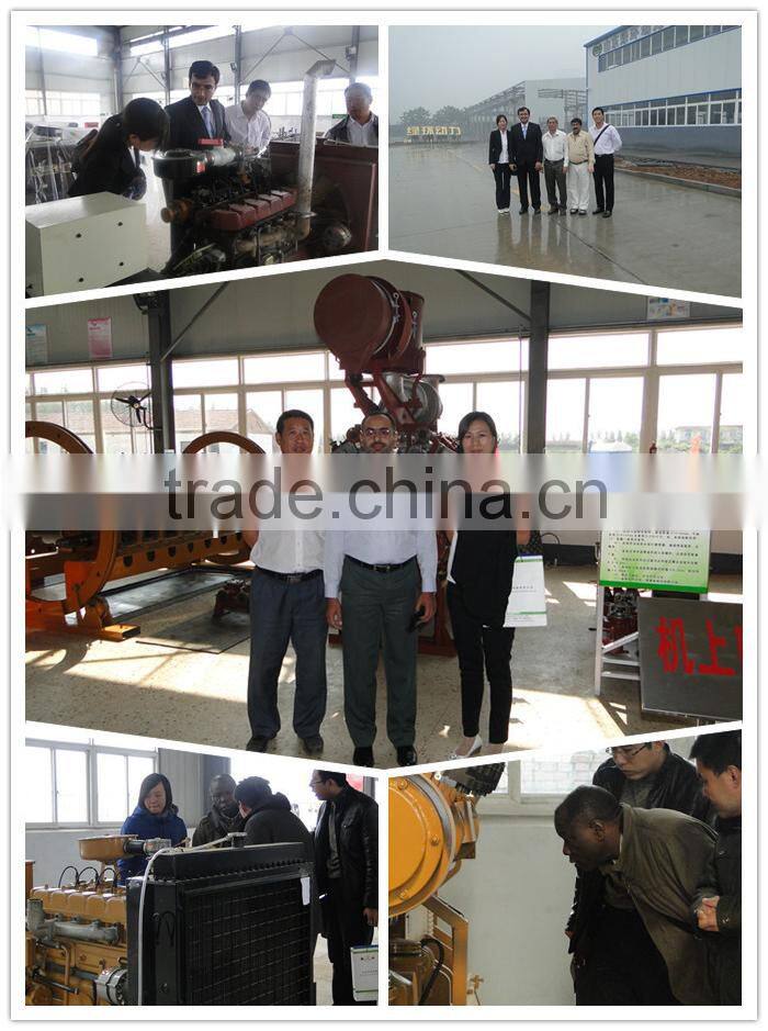 Low factory price,30KVA,20KVA,50KVA,60KVA,70kva natural gas electric generator