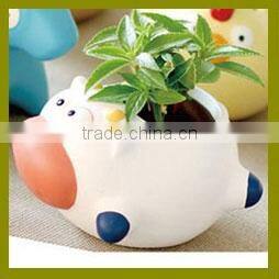 Specialized boxes for gifts DIY mini bonsai promotional gifts for teenagers , corporate anniversary gifts