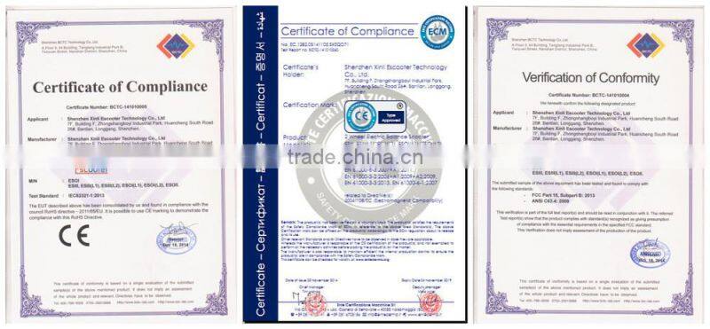 Professional Street Pro Reliable Self Balance Two Wheeled Stunt Scooter with CE