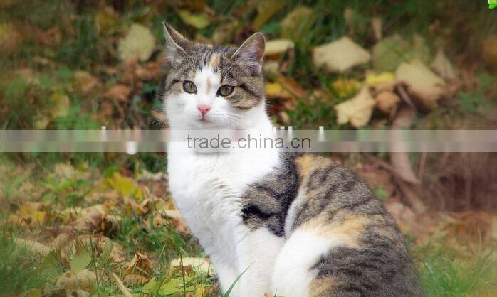 2016 factory made Expandable geo fence 2016 newest underground gps locators electric pet collar