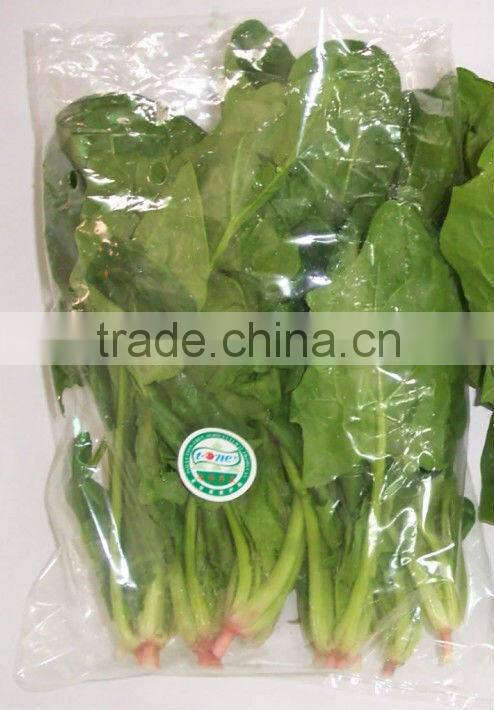 Anti fog and retain freshness masterbatch