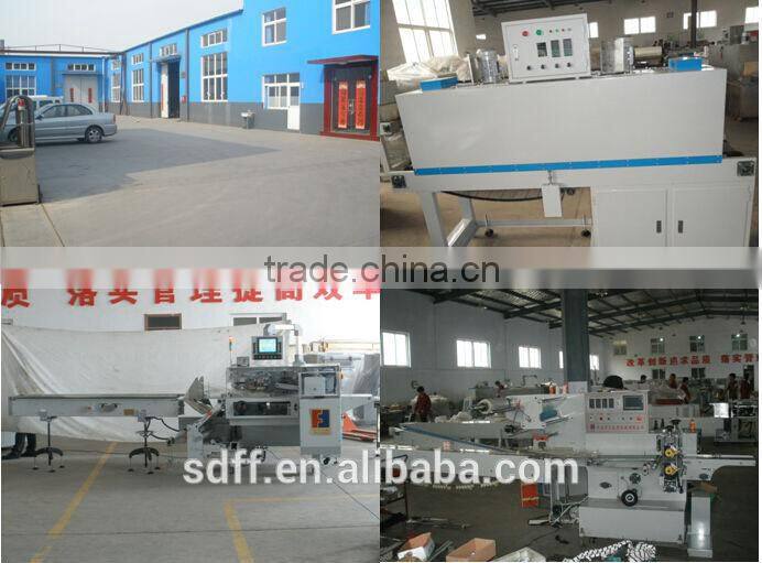 Pillow Type Frozen Seafood, Fish Shrink Packaging Machine