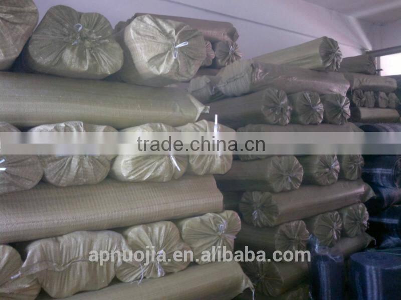 Galvanized iron window screen/green iron window screen for insect