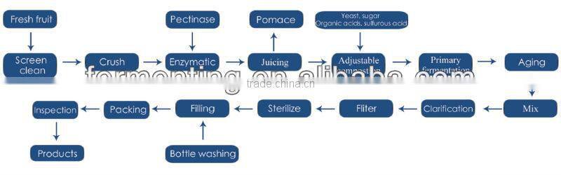 Superior quality delicious red Wine fermentation vessel