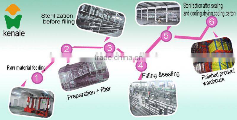28-30% Canned Tomato Paste, Tomato Sauce in tins/drum/jars 2200gX6tins