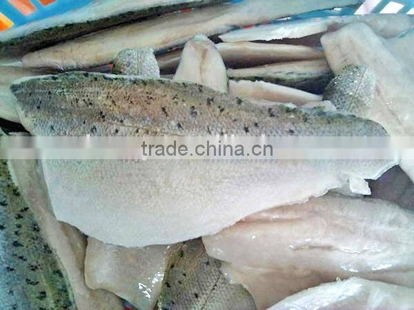Frozen Seabass/chilean Seabass Fish Fillet