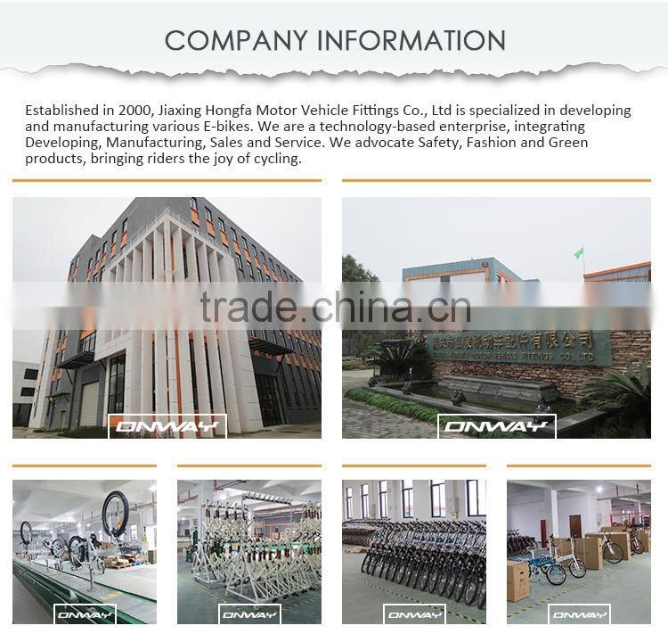 ONWAY Electric Bike Digital LED Display