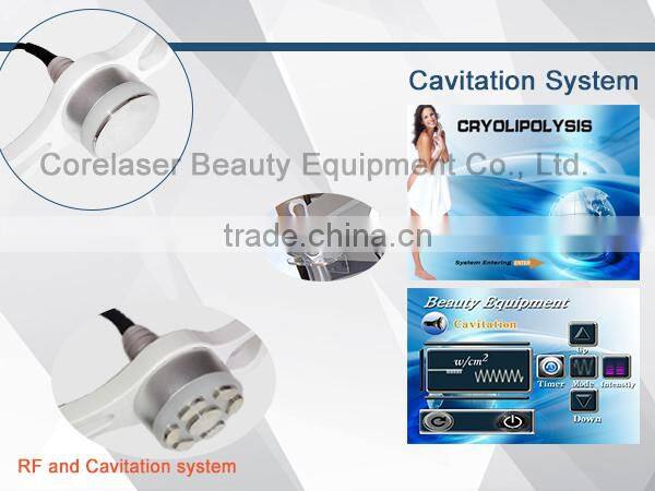 Professional beauty machine criotherapy weight loss machine popular in the world