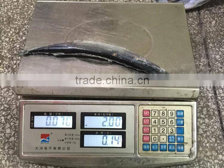 frozen fish whole pacific saury for bait