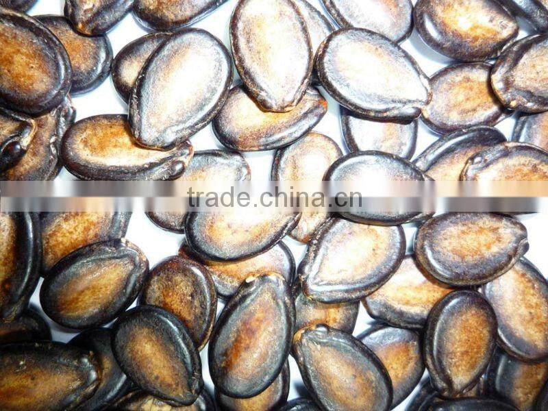 2013 top quality raw material watermelon seeds kernel