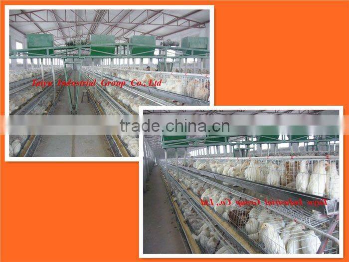TAIYU automatic chicken farm system (egg laying birds,broilers,breeding chicken, day old chicken)