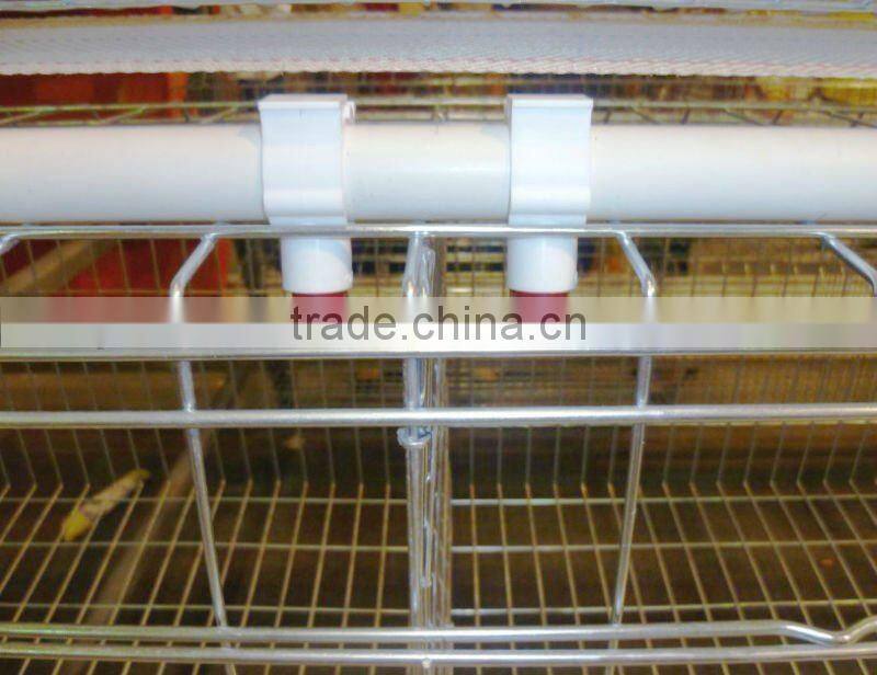 broiler chicken cage
