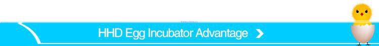 HHD Newest model full automatic used egg incubators digital egg incubation hatching