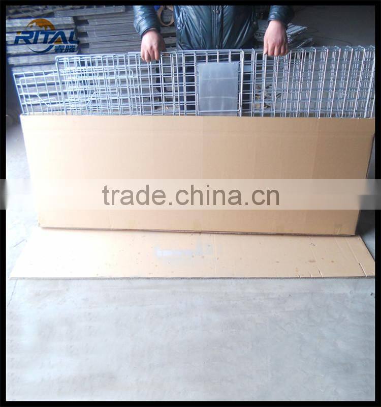 Live Bird Cage Trap For Magpies, Crows and Jays