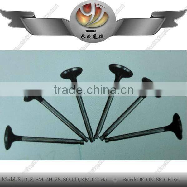 China supplier engine valve and valve seat