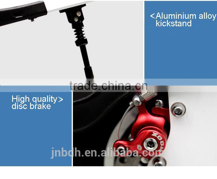 High Quality China Made Electric Bicycle