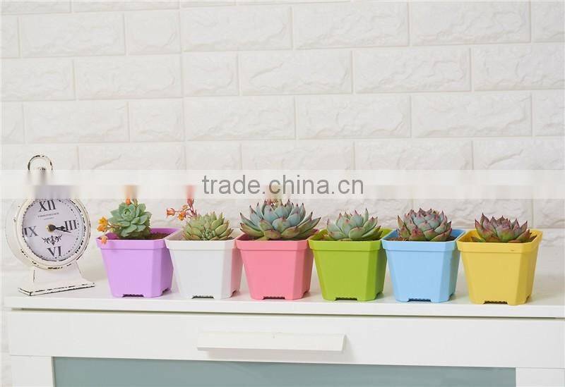 More Thickness Plastic Starting Seeding Flower Pot