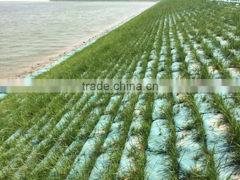 Hot sale nonwoven geotextile planting grow bag with plant seed for slope greening
