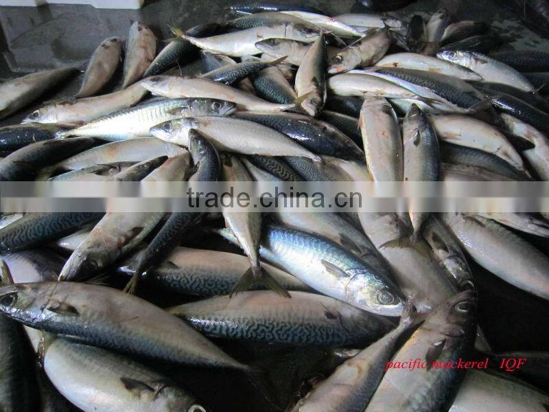 Frozen Mixed Seafood Red Shrimp PUD