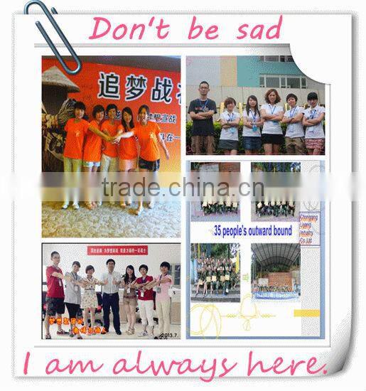 6V 4Ah Rechargeable Lead Acid Battery (6N4-2A)