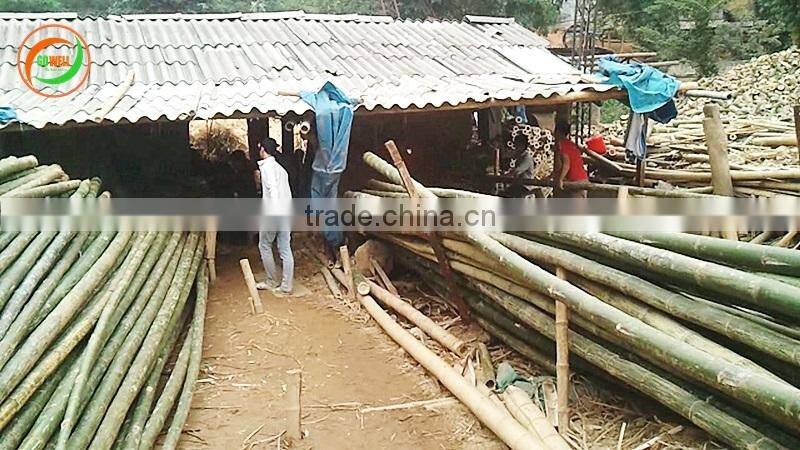 Hot sale 2014 Round bamboo sticks 8"; 9" for making incense from GOWELL., JSC, VietNam