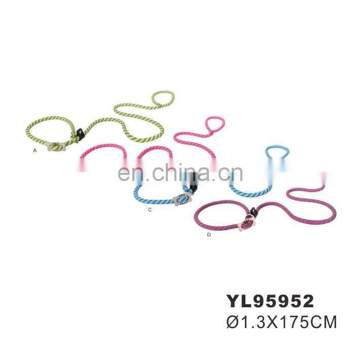 Nylon Leash & Slip Collar