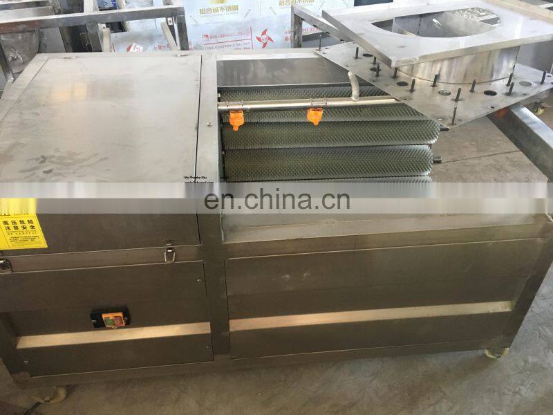 brush mooli washing machine carrot washing machine vegetable washing machine