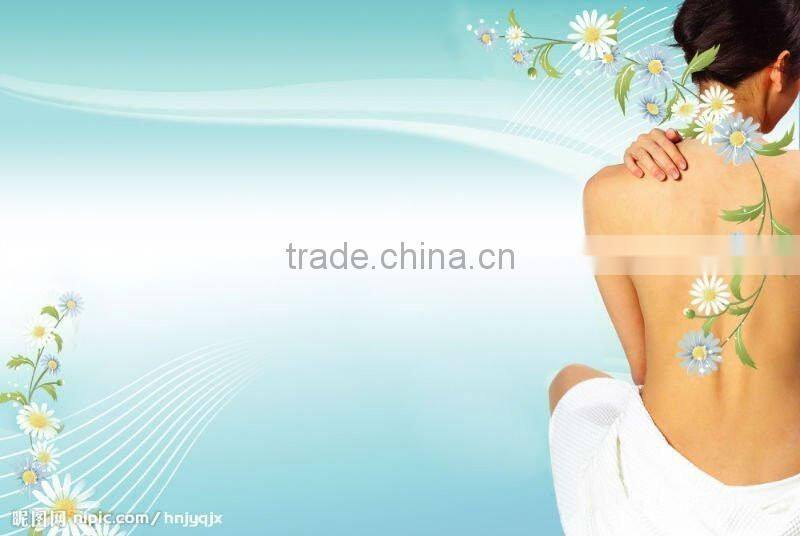 VY-03 Professional steam inhaler with facial sauna for sale