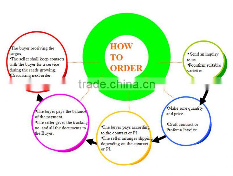 SHIJIA chinese watermelon hybrid seed