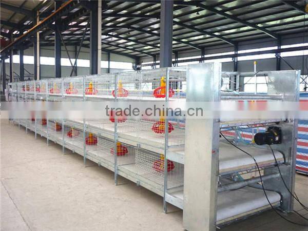 Automatic cage feeding machinery cage feeding farm
