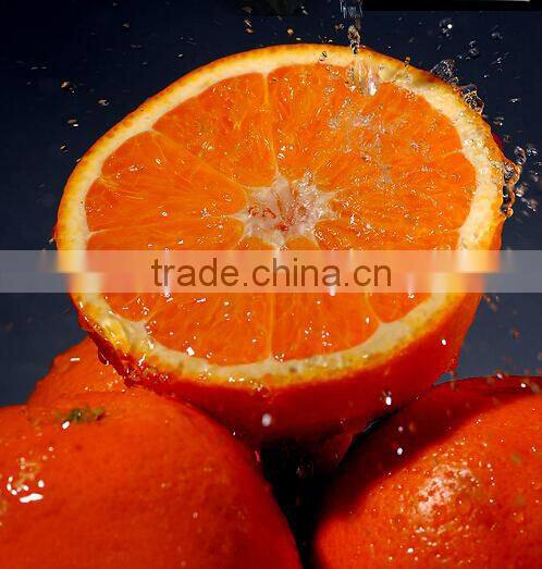 Manual Lemon Juicer orange juicer plastic lemon juicer