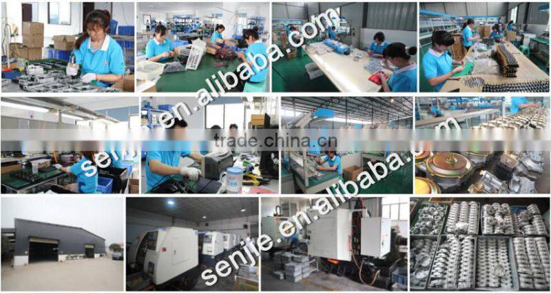 CNG LPG emulator ngv