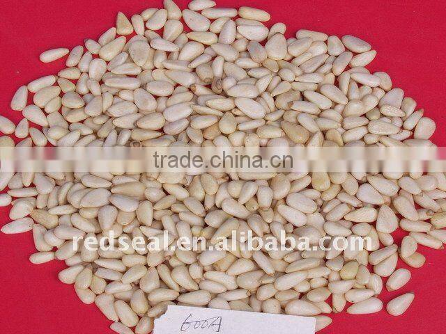 New crop Chinese pine nut kernels