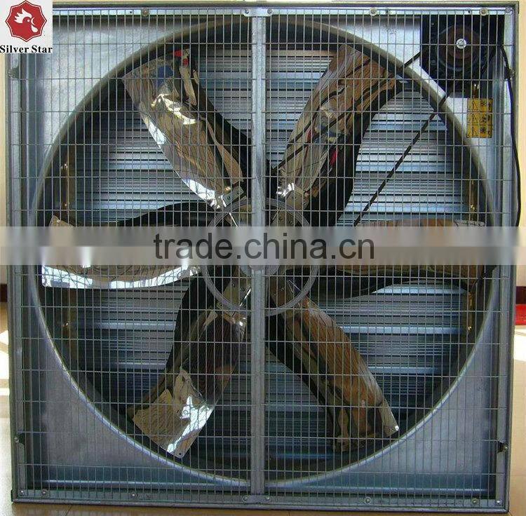 automatic belts manure removal/cleaning system chicken layer cage