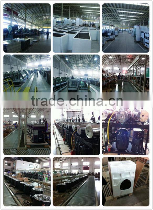 REACH IN FREEZER-2 DOOR (2/1 GN series)