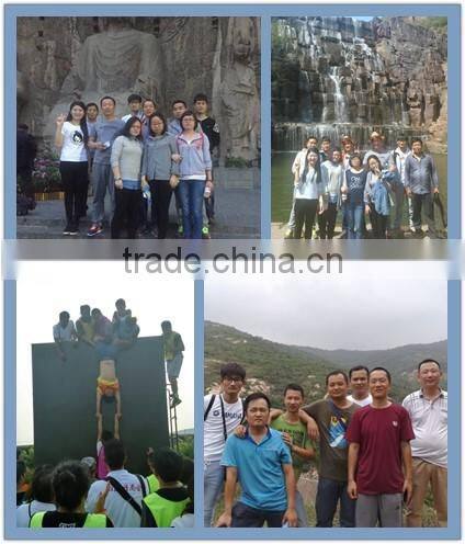 Contemporary Insert Stove, Insert Wood Stove, Insert Cast Iron Fireplace