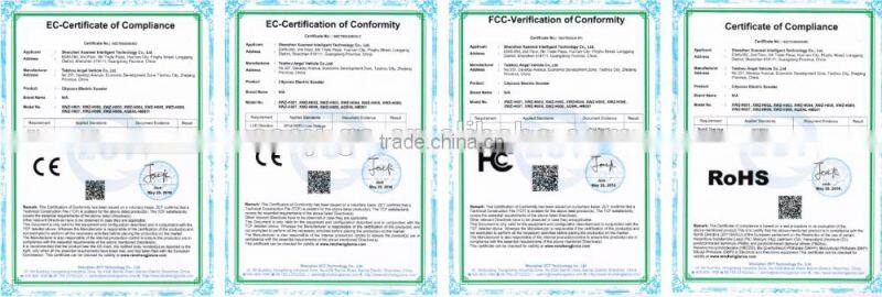 Newest design 1000w/800w City COCO gas scooter kit with CE/RoHS/FCC certificate hot on sale