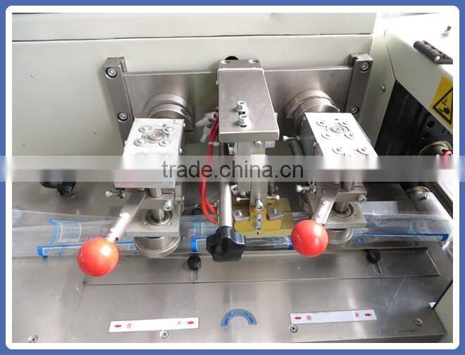 Cosmetic Packing Machine/Pillow Type Automatic Packing Machine