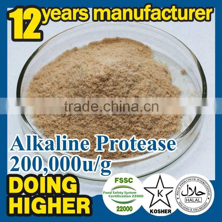 100% high quality protease for detergent factory supply alkaline protease for washing