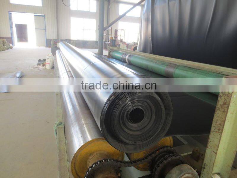 China Top class standard ASTM double side smooth HDPE geomembrane