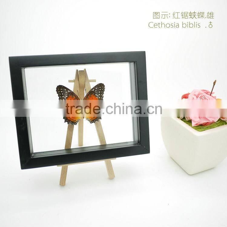 FOUSEN(039) Nature& Art natural species glass frame gift