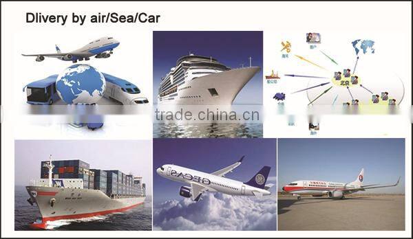 365 Frames Bidirectional Cine-loop Portable Ultrasound for Pregnancy